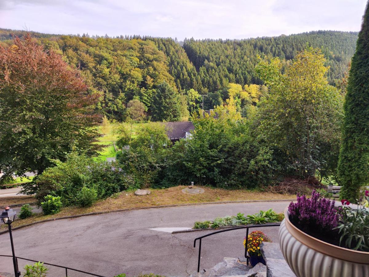 Villa Wohlfuehloase Eifelsteig Simmerath Exterior foto